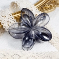 Translucent smoky gray frangipani flower hair claw clip on white lace background - 7. Bauhinia Flower Transparent Gradient Gray
