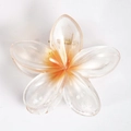 Gradient yellow and white Plumeria flower hair claw clip with resin finish - 7 Bauhinia Pearl Orange