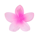 Pink gradient frangipani flower hair claw clip in matte resin finish for women - 4cm Frosted Gradient Powder
