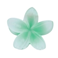 Frangipani plumeria flower hair claw clip in light green resin with jade-like texture - 4cm Frosted Gradient Green