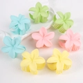 Eight-piece set of small frangipani flower hair claws in pastel macaron colors - 8pcs Colorful Bauhinia 3
