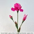 Artificial rose red iris flower with 80cm stem for wedding decor and floral arrangements - Magenta Iris