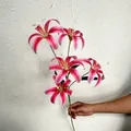 Pink gradient artificial lily branch with four blossoms for wedding floral decoration - Rose Pink Golden Lily