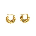 Polished gold twist croissant hoop earrings with a vintage textured rope design for women - Stainless Steel / Gold Twisted Polished Hoop (14#)