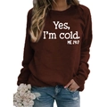 Dark brown crewneck sweatshirt featuring Yes I'm Cold slogan print and relaxed fit - S / Coffee (White Font)