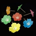 Colorful disposable mini paper umbrellas with wooden sticks for cocktail and party decoration - White Core Petal Picks