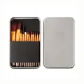 Tragbares 12-teiliges Make-up-Pinsel-Set mit Synthetikborsten in einer silbernen Metalldose - Gold
