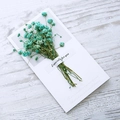 Minimalist white greeting card with real blue dried gypsophila and gift ribbon - Lake Blue Baby's Breath Dried Flower Style
