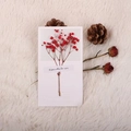 Minimalist white greeting card featuring a red dried baby's breath flower bouquet - Red Baby's Breath Dried Flower Style