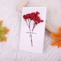 White greeting card with a bouquet of dried red flowers and Especially for you text - Red Crystal Grass Style