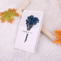 Elegant white greeting card featuring a bouquet of dried blue gypsophila flowers - Royal Blue Crystal Grass Style