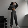 Detail view of dark grey tracksuit featuring a half-zip hooded sweatshirt and jogger pants - L / Top And Bottom / Dark Gray