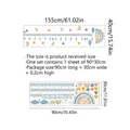 Guide des tailles sticker arc-en-ciel pour enfant, dimensions 155x40cm et échelle 180cm - 30*90cm