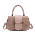 Elegant nude pink saddle bag with woven flap and golden smile metal accent for women - Khaki