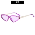Triangle cat-eye sunglasses with purple transparent frame and silver metal temples - Purple Frame Purple Lens (C6)