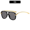 Retro pilot sunglasses with thick black frame, gold metal temples and dark grey lenses - Black Frame Grey Lens (C1)