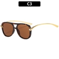 Retro pilot sunglasses featuring tortoiseshell frames with gold metal double bridge design - Tortoise Frame Tea Lens (C3)