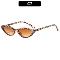 Retro cat-eye sunglasses with tortoise frame and brown gradient lenses for outdoor fashion - Tortoiseshell Frame Dual Tea Lens