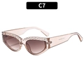 Occhiali da sole cat-eye alla moda con montatura marrone traslucida e perle decorative - Montatura Champagne Lente Marrone Sfumato