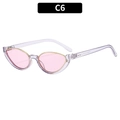 Fashion cat eye sunglasses with purple transparent frame and light pink lenses C6 - C6-Purple Frame Pink Lens