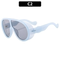 Lunettes de soleil de ski bleu clair surdimensionnées avec protection latérale - C2-Monture Bleue Verres Gris Clair