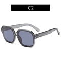 Gafas de sol poligonales gris translúcido con lentes gris oscuro, código de color C2 - C2-Montura Gris Transparente Lentes Negro Gris