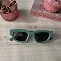Gafas de sol cuadradas retro de resina verde menta con protección UV para hombres y mujeres - Verde Menta