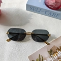 Rimless sunglasses with grey lenses, golden cheetah head detail and metal temples - Full Grey