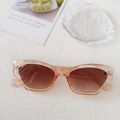 Champagne translucent retro cat-eye sunglasses with brown gradient lenses for women - Champagne