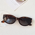 Lunettes de soleil ovales rétro hip-hop avec monture écaille classique et verres gris foncé - Imprimé léopard
