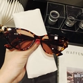 Occhiali da sole cat-eye oversize con montatura tartarugata e custodia bianca - Tartarugato