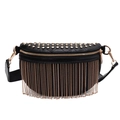 Schwarze gesteppte Brusttasche mit goldenen Nieten und metallischen Fransen-Details - Gold