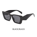 Fashionable square black polarized sunglasses with wide geometric temples for women and men - Black Frame / Black Lens
