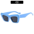 Occhiali da sole cat-eye azzurri con lenti scure e aste larghe nella variante colore C2 - Montatura Blu Lenti Grigie