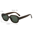 Gafas de sol ovaladas vintage con lentes verde oscuro y remaches plateados, 14,2cm - Marco de Leopardo Lente Negra
