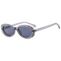 Retro translucent grey oval frame sunglasses with dark lenses for a chic hipster style - Regular / Grey Frame Grey Lens