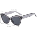 Classic cat-eye sunglasses with dark grey translucent frames and UV lenses, 14.8cm width - Transparent Gray
