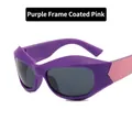 Y2K futuristic cat-eye sunglasses with matte purple frame and light pink temples - Purple Frame Pink Temple