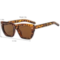 Fashionable tortoise shell sunglasses with dark brown lenses and metal rivet details - Demi