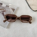 Detail of vintage oval brown sunglasses featuring gradient lenses and metal temple accents - Khaki