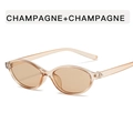 Fashionable champagne cat-eye sunglasses with transparent oval resin frames for women - Champagne Frame Champagne Lens