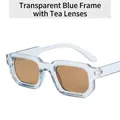 Rectangle sunglasses with transparent light blue frame and brown tea lenses - Blue Frame Tea Lens