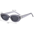 Retro cat-eye oval sunglasses with gray translucent resin frame and metal accents - Transparent Gray