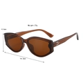 Dettaglio occhiali da sole cat-eye marroni con misure: larghezza 14,3 cm e altezza 4,6 cm - Montatura Tè Lenti Tè
