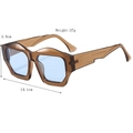 Irregular cat-eye sunglasses with transparent brown frame and light blue lenses - Transparent Tea