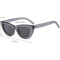 Cat eye sunglasses in transparent grey frame with dark lenses and 14.6cm width - Smoke Gray