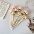 Detail van roze zijden rozen balpennen met realistische dauwdruppels op de bloembladen - Champagne