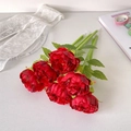 Set di sei penne peonia rossa disposte con pizzo e rivista per decoro scrivania - Rosso