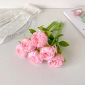 Dettaglio di penne a forma di peonia rosa con realistiche gocce di rugiada su un tavolo - Rosa