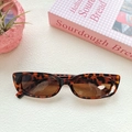 Detail shot of square tortoiseshell sunglasses on white sand with a book and plant - Tortoise Tea